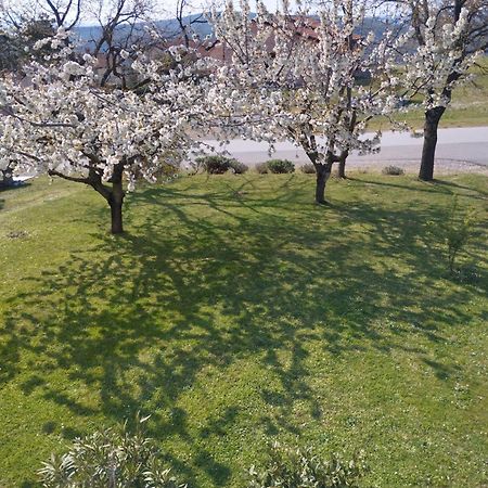 Daal Apartment Roč Екстериор снимка