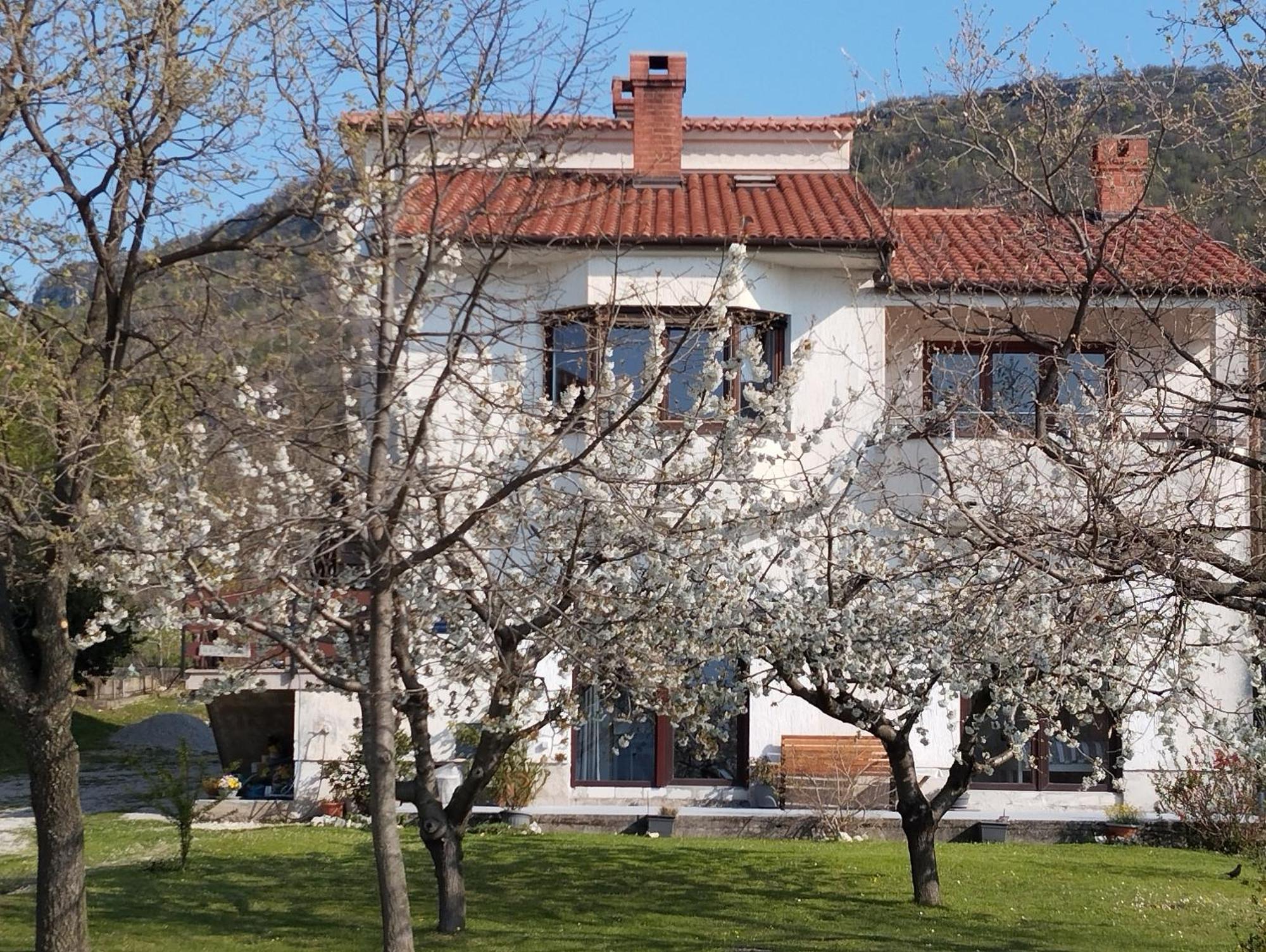 Daal Apartment Roč Екстериор снимка